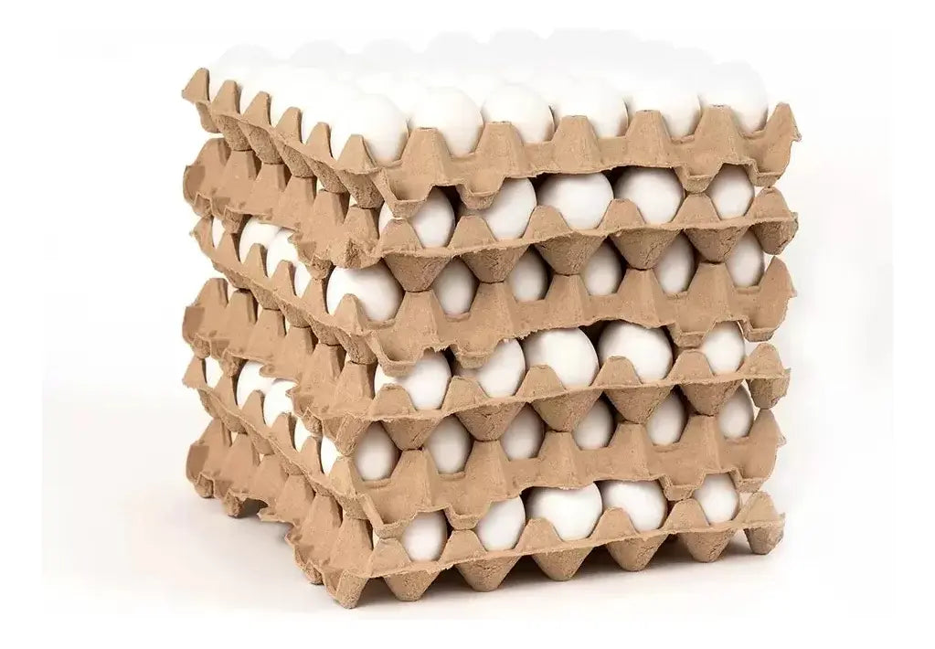 Yemita Jumbo Blanco y Color 100 Huevos